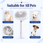 Pet Steam Brush(2 in 1)