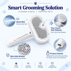 Pet Steam Brush(2 in 1)