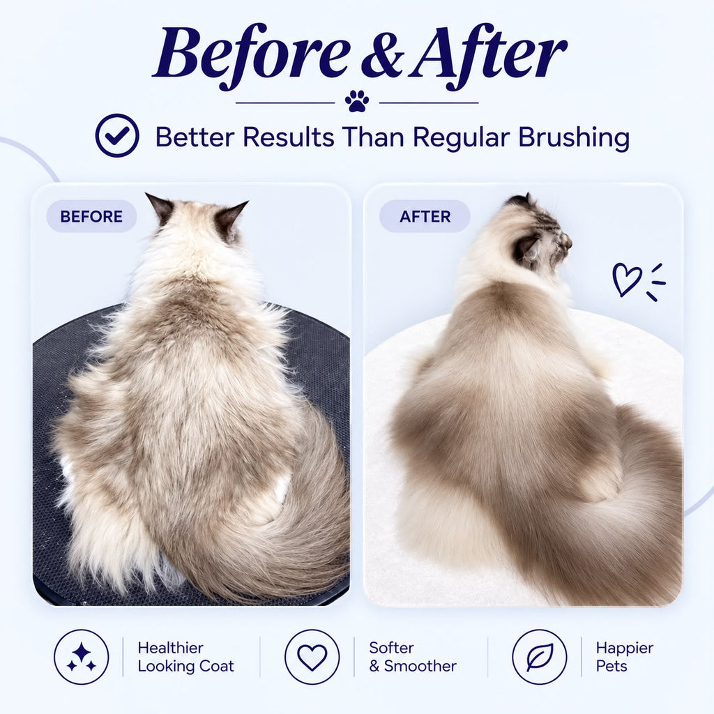 Pet Steam Brush(2 in 1)