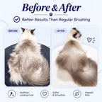 Pet Steam Brush(2 in 1)